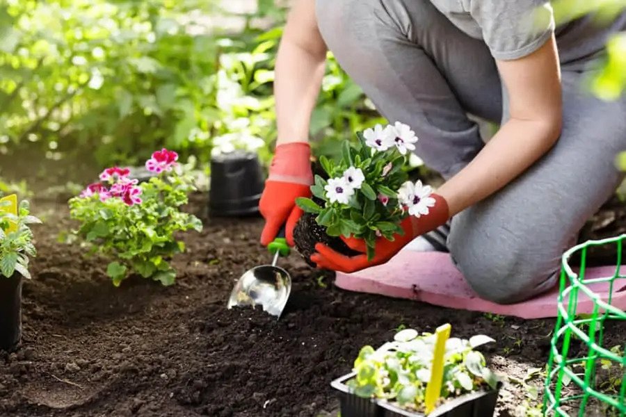 Spring into a Growth Mindset