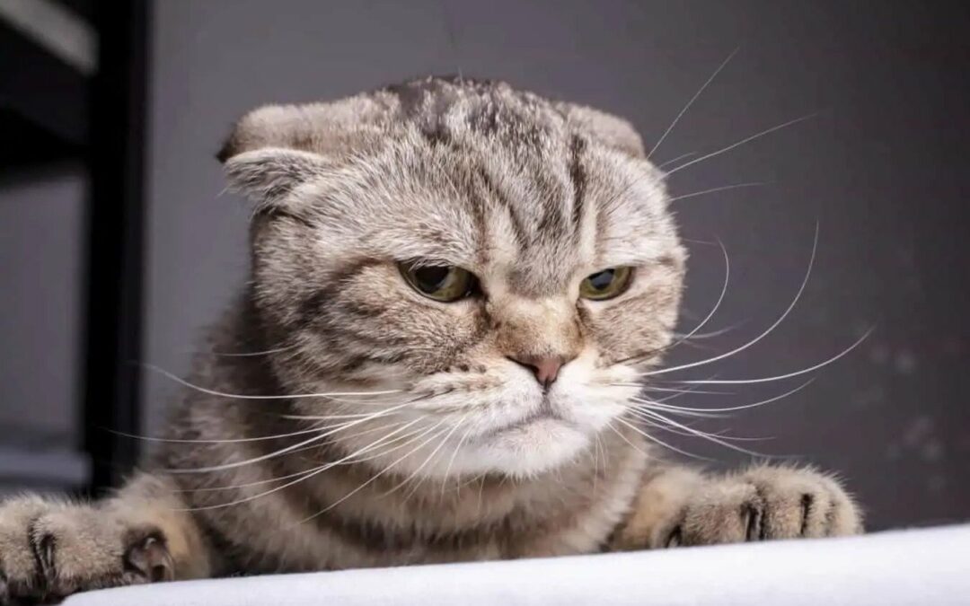 6 Ways that Anger Positively Impacts Your Life